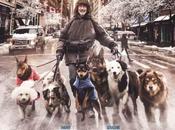 Cinéma Nouvelle Paul Sneijder, bande annonce infos