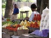 Ghana liberté économique l’arrêt