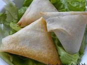 bricks poireaux sans friture