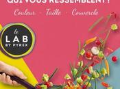 Pyrex passe personnalisation poêle