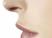 ÉVOLUTION: connaît gènes forme nez! Nature Communications