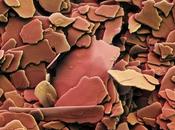 Nanomatériaux particules