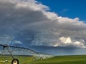 Industrie chimique, sociétés biotechnologies géants trading contrôlent chaîne alimentaire mondiale