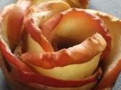 Jolis boutons roses pommes bas- apple rose