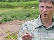 Stratégie Bill Gates,pour mettre fruits céréales naturelles Afrique.