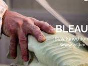 Prises Bleau Line, ArtLine Climbing Holds