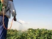 Santé environnement: pesticides accusation; d'alarme d'une scientifique Rhône-Alpes