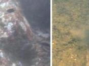 ruines âgées jusqu'à plus 2000 découvertes sous l'eau large côtes indiennes