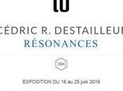 Galerie exposition CEDRIC R.DESTAILLEURS Résonnances 16/25 Juillet 2016