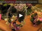 meilleurs Apprentis France fleuriste, vidéo