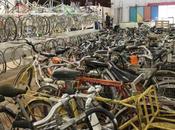 ateliers vélos poussent comme cham-pignons