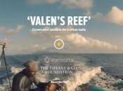 Valen’s Reef restauration corail indonésien Vidéo