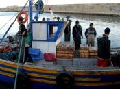 Commission européenne lance appel propositions pour soutenir secteur pêche Algérie