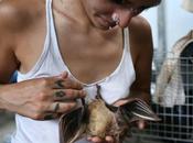 INSOLITE ENVIRONNEMENT Israël, Batwoman secours chauves-souris