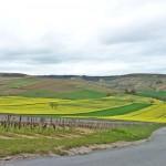Un week-end dans les côteaux du Sancerre