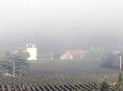 anti-LGV saisissent Conseil d'Etat pour sauver vins Sauternes