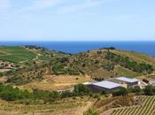 Terres Templiers cave coop Banyuls