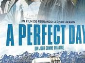 Critique Dvd: perfect