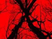 [Trailer] Blair Witch suite surprise créé l’événement