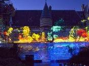 Embarcation immédiate Jusqu'au août, naviguez bord Métamorph'eau'ses, Châlons-en-Champagne