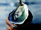 Huîtres triploïdes douzaines questions