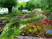 parc Terra Botanica Angers