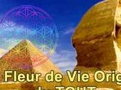 Fleur Origine Tout