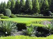 promenade parc Gyoen Tokyo