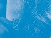 agendas découvrez sorties Hugo Romance Editions Blanche septembre