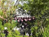 promenade terrasse Tokyu Plaza Tokyo