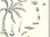 SORIN, créativité d’un peuple DURIZOT, JEANTON NICOLAS