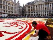 tapis fleurs 2016 Bruxelles