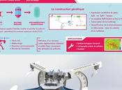 Crowdfunding soutenez Quantify, projet drone biotechnologique l’équipe iGEM IONIS