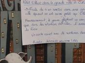 Petit Elliot dans grande ville