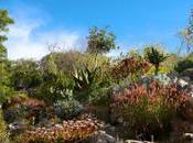 jardin botanique Kirstenbosch,