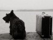 Exposition «Ailleurs» jardin Raymond Toulouse