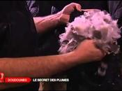 C&amp;A lance gamme doudounes "qui protègent animaux"