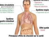 chocolat bienfait