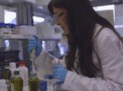 manipulation génétique espèces s'active, controverse aussi