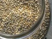 quinoa, source protéine méconnue