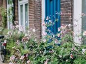 Quelques jours Amsterdam