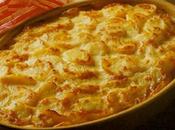cuisine marocaine gratins