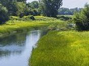 Parc national îles-de-Boucherville