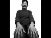 Exposition Chicken Hands Ryan Arbilo