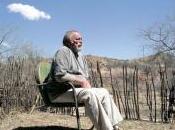 Harrison Sept dans bois (Seven Woods, 2016)