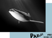 Photographies Parley Lumas