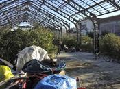 Montreuil l'irresponsabilité responsables politiques