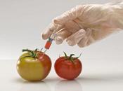 L’invasion l’agro-chimie dans assiettes