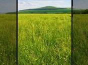 Xiaomi MIX, téléphone sans bordure pouces