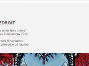 Galerie GLENAT exposition Olivier LEDROIT Wika fées noires